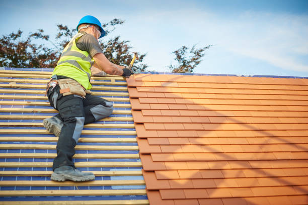 Best Skylight Installation and Repair  in Winter Gardens, CA